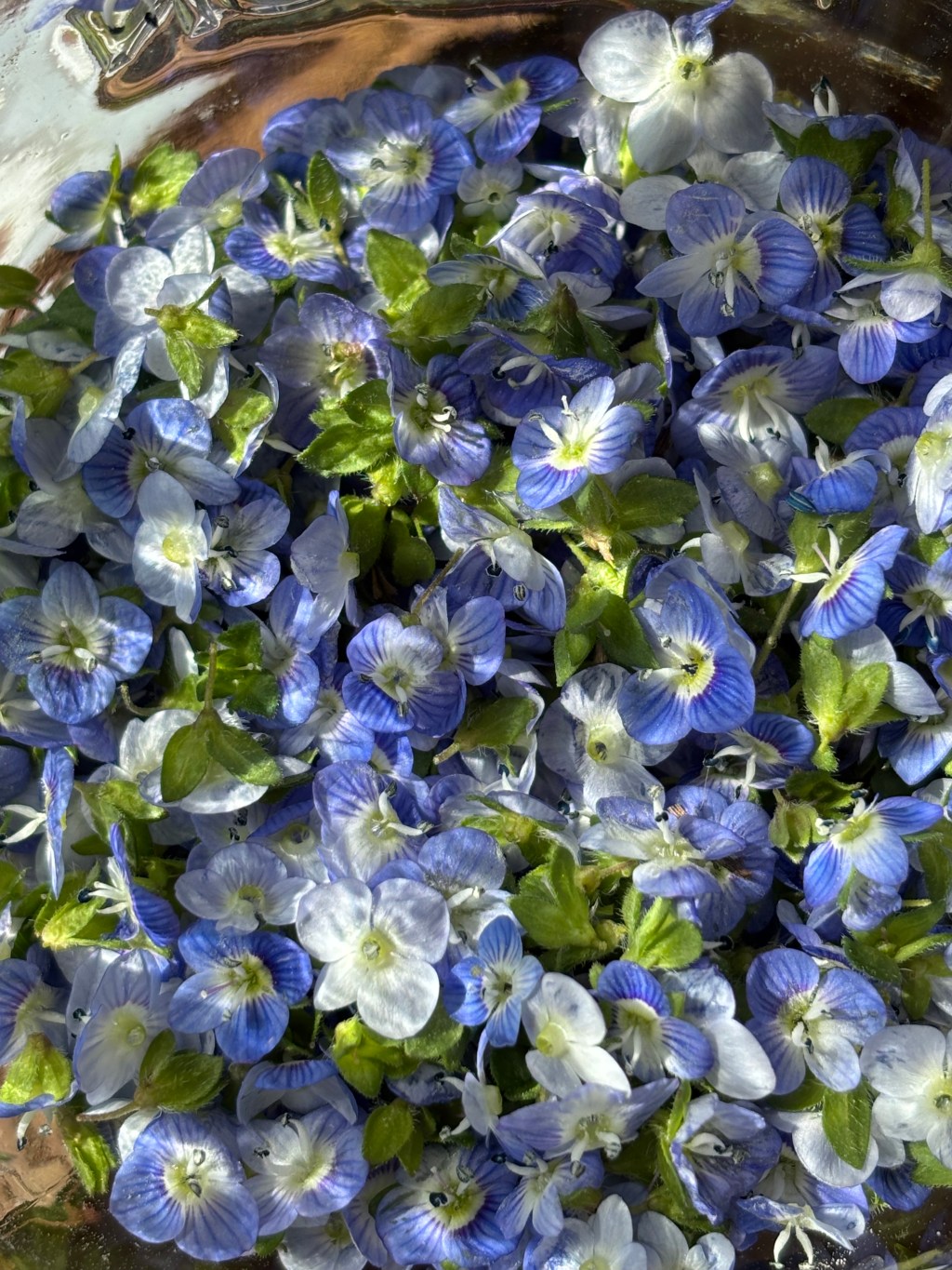 Forging Harvest: Flowers