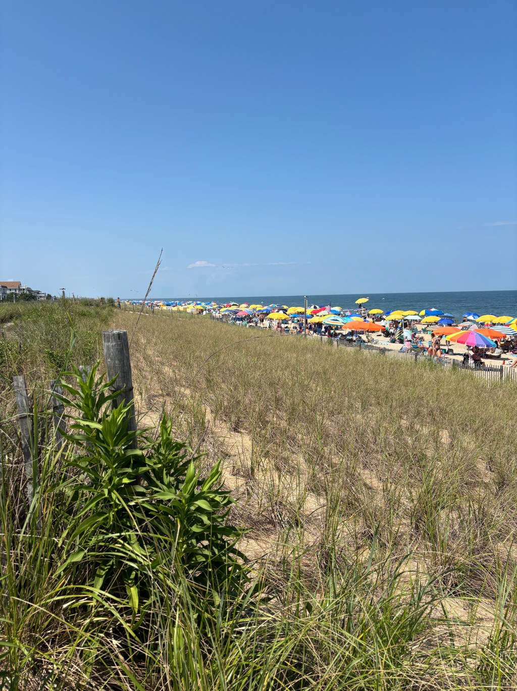 Beach Day: Delaware