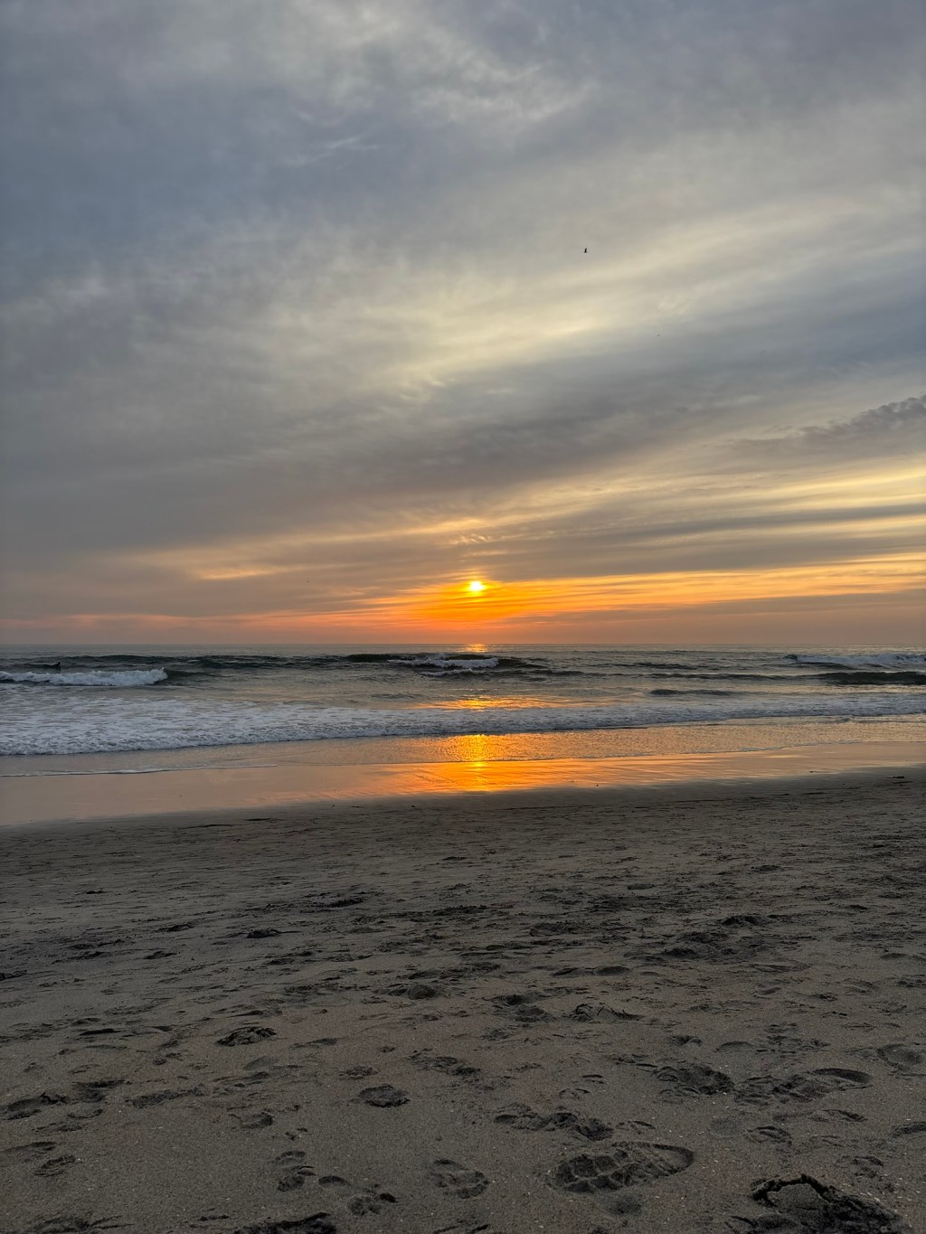 Beach Day: West&nbsp;Coast